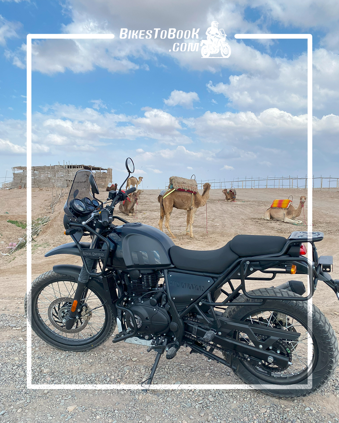 Rent a Motorbike for the Ultimate Adventure gallery photo 1