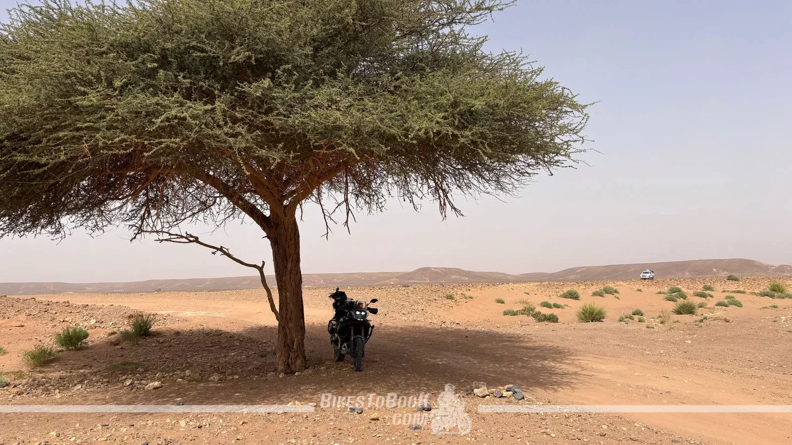 A practical seven-day motorcycle itinerary from Marrakech to Merzouga with Bikes To Book